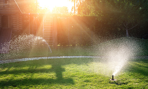 Sprinkler/Irrigation Inspections